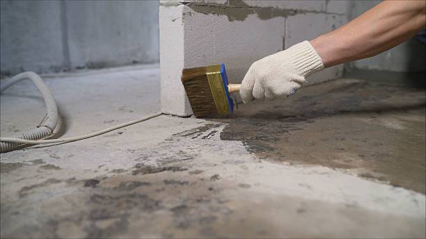 24/7 Emergency Wet Basement Repair experts in Ludington, MI